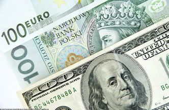 Dolar już droższy od franka. Kurs rośnie siódmy dzień z rzędu