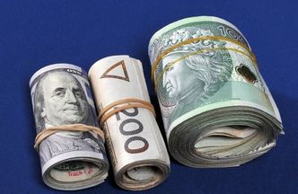 Złoty w trójce najmocniejszych walut świata. Eksperci wątpią w trwałość tej tendencji