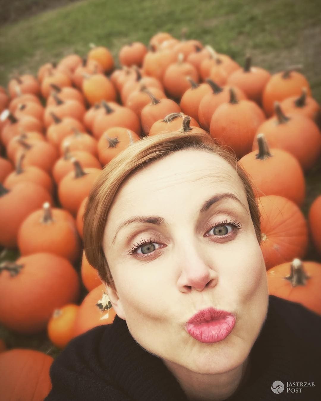 Katarzyna Zielińska kupuje dynie