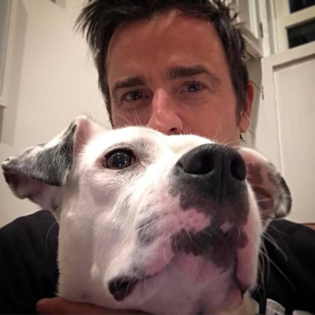 Justin Theroux – były mąż Jennifer Aniston