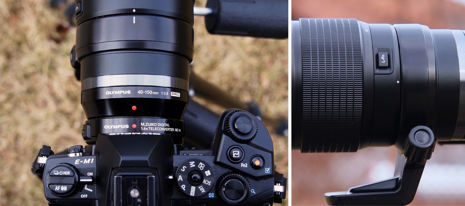 Olympus 40-150 mm f/2,8 (+ TC 1,4×), czyli super małe super tele 5