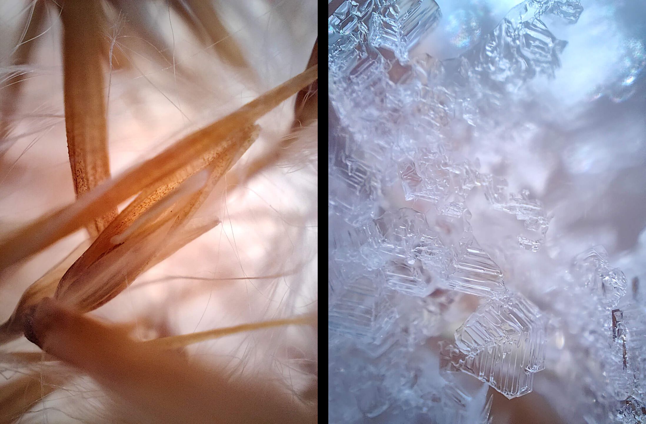 Ma obudowę z liści, mikroskop i tryb 3D. realme GT 2 i GT 2 Pro w Polsce 6