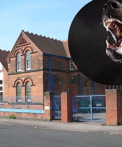 Atak psów w Birmingham. Dzieci zamknięto w szkole.