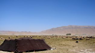 Migracje pasterzy sprzed 5 tys. lat. Naukowcy wiążą je z falą chorób