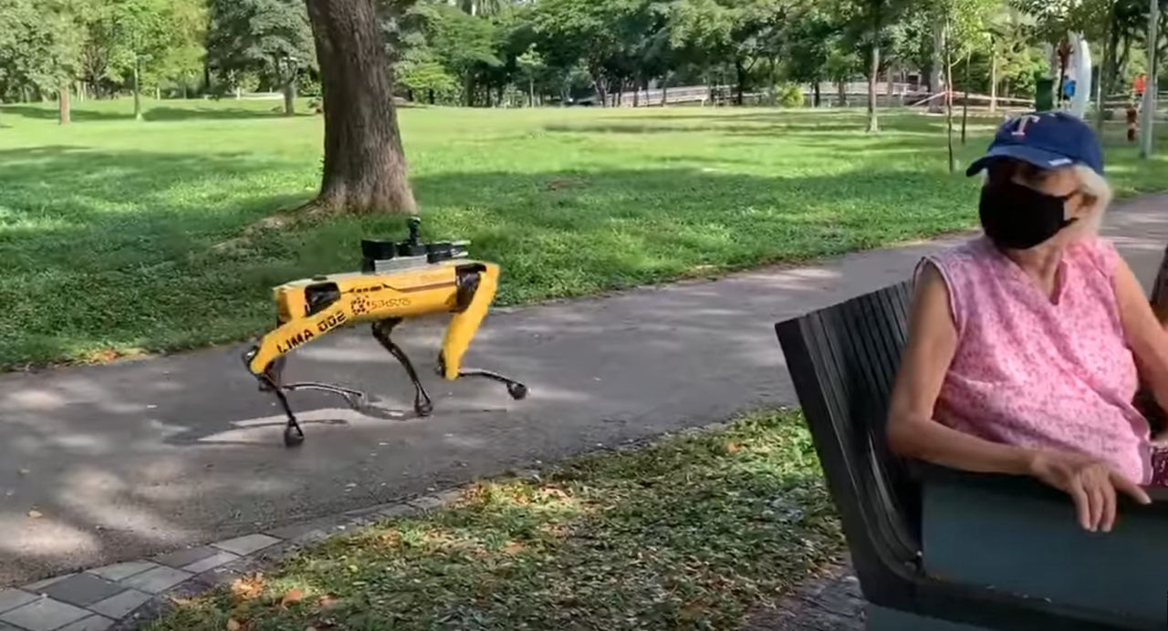 Koronawirus. Pies-robot patroluje parki. Przypomni o zachowaniu odpowiedniego dystansu [Wideo]