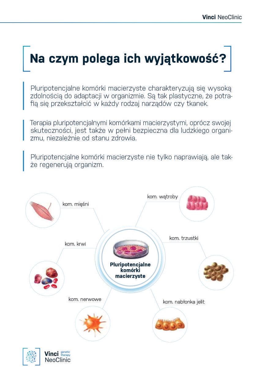 Ulotka