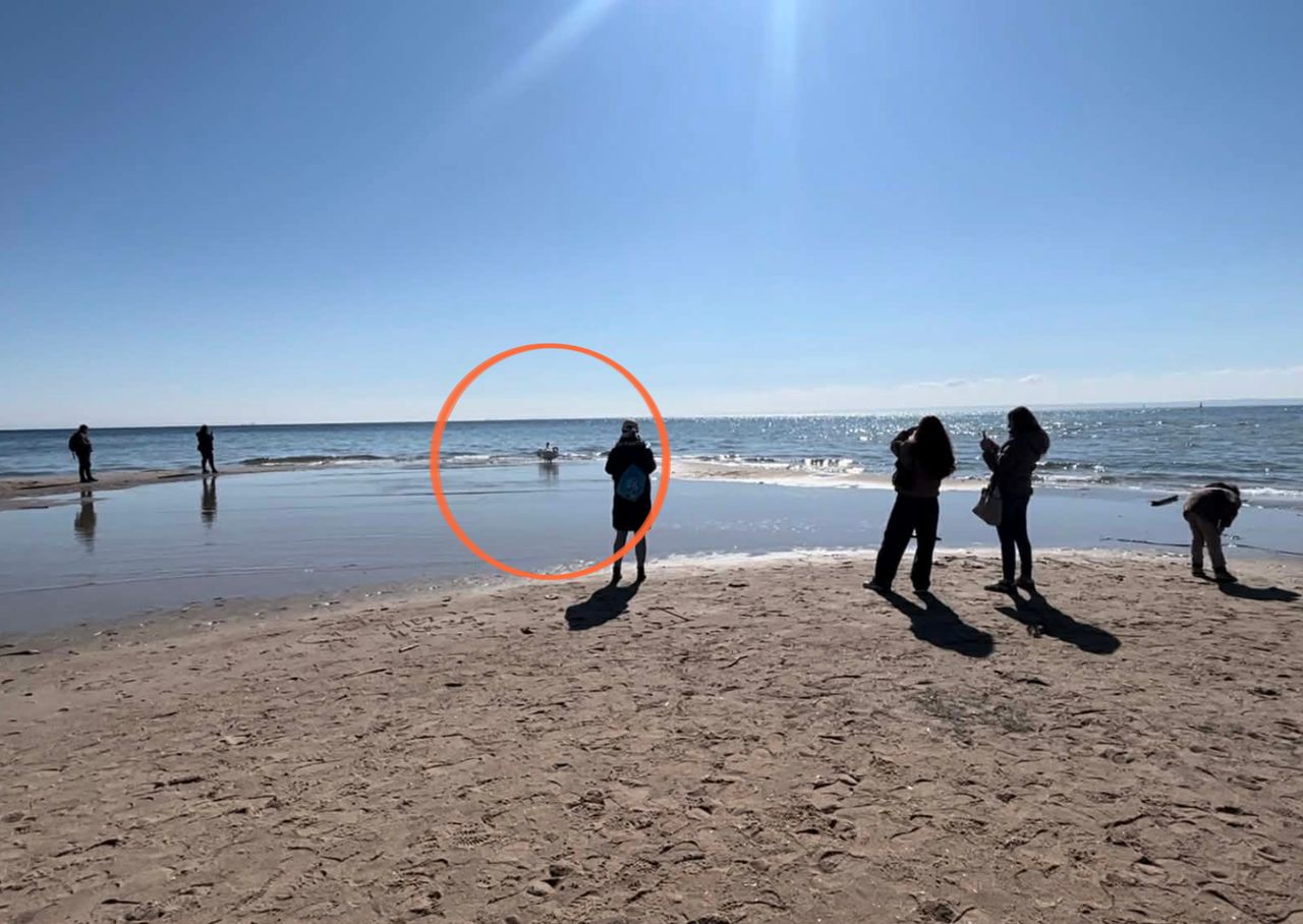 Wideo z Helu. Wszyscy wyciągali telefony