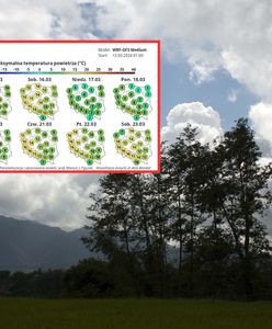 Pogoda na 10 dni. W prognozach zamieszanie. Synoptycy pokazali mapy