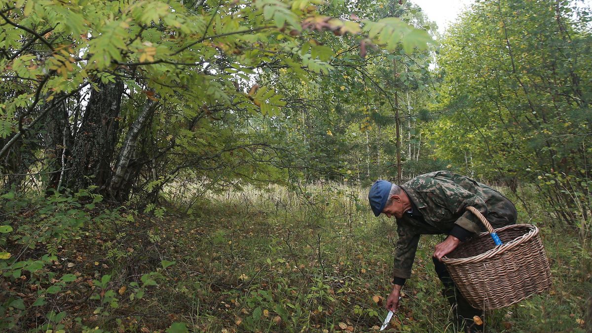 Zdjęcie ilustracyjne. 