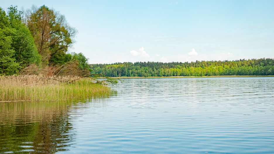 Upalny poniedziałek nad Jeziorem