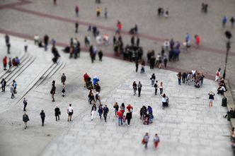 Pięć szczególnych sektorów polskiej gospodarki. Ich wyniki za rok 2023 zaskakują