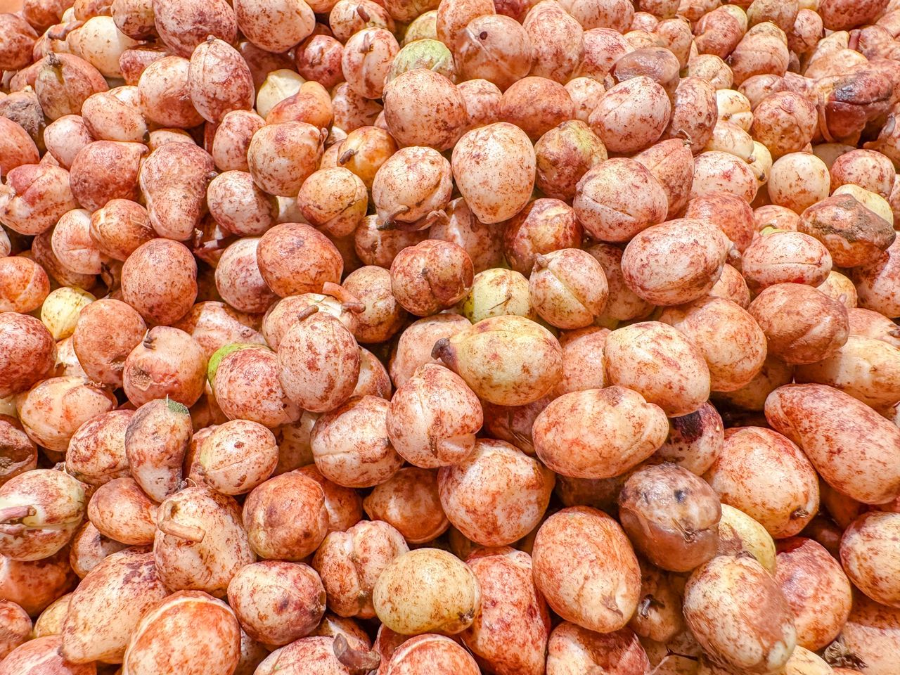 Niepozorne nasiona są "żywnością kompletną". Mają skład podobny do soi