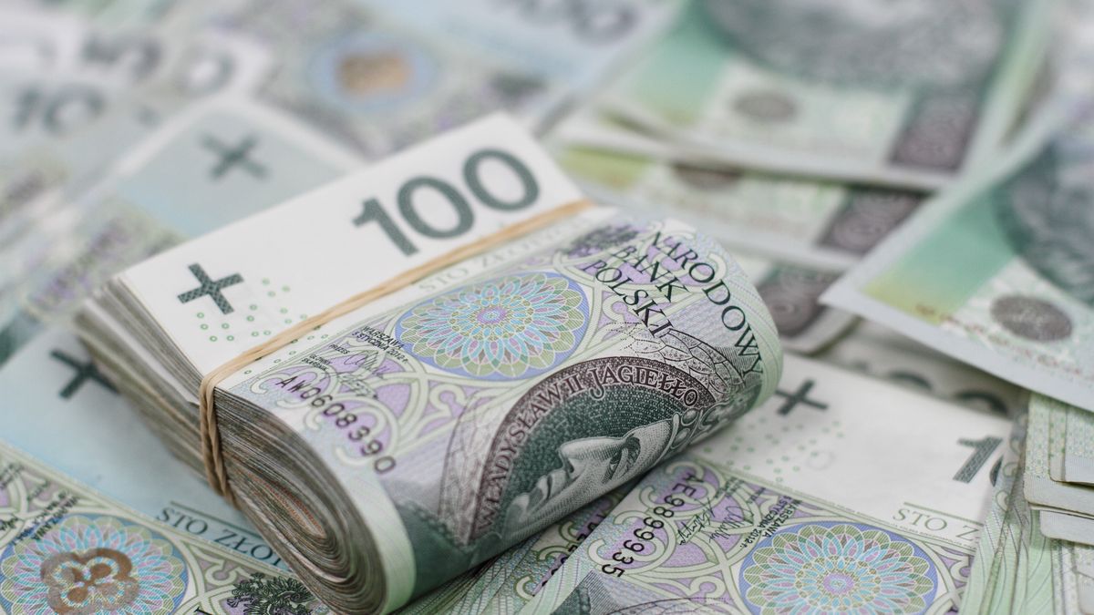 waluta, gotówka, finanse, banknoty, bisnes, bogactwo, papier, bank, 100, my, bankowej, pln, izolowany, banknot, kredyty, inwestycja