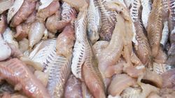 Ryby, których warto unikać. To siedlisko rtęci i dioksyn