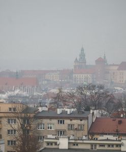 Nowy obowiązek dla właścicieli domów. Przepisy już weszły w życie