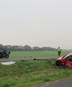 Śmiertelny wypadek w Wielkopolsce. Nie żyje 79-latek