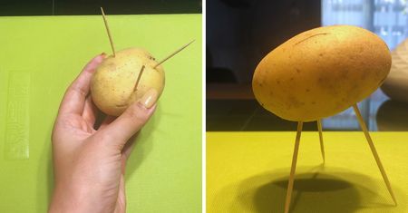 Siostra wbija wykałaczki w ziemniaki. Mówi, że tak najszybciej przygotowuje się obiad