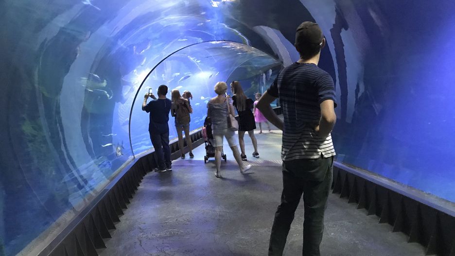 Afrykarium we Wrocławiu 