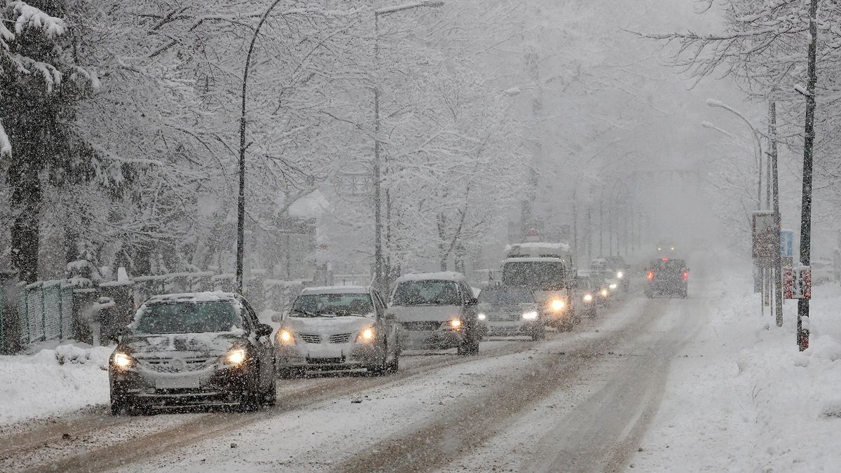 Straż Miejska działa w Zakopanem, są liczne mandaty.
