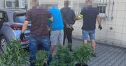 Narkotykowa transakcja na parkingu. Zatrzymali dilera i jego klienta