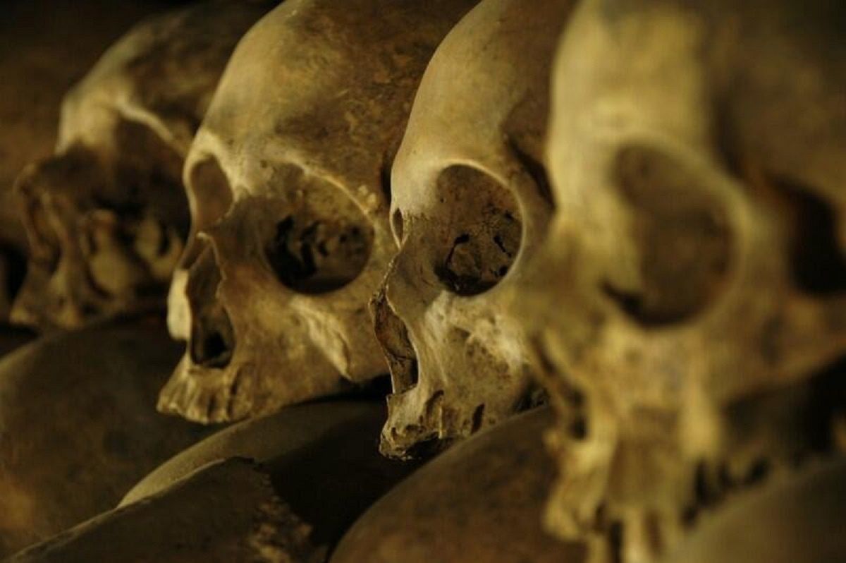 Gdańsk: zaskakujące odkrycie. Tysiące kości pod podłogą kościoła