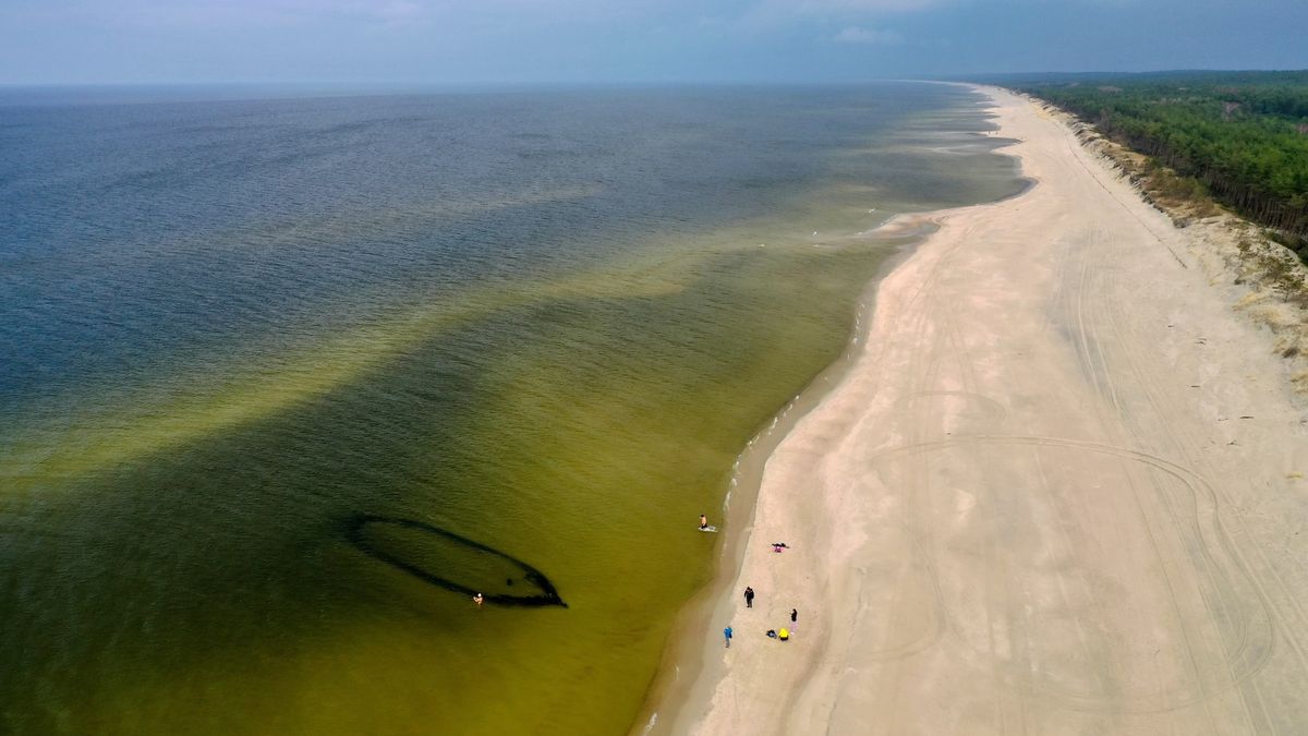 Co kryją morskie głębiny Bałtyku?