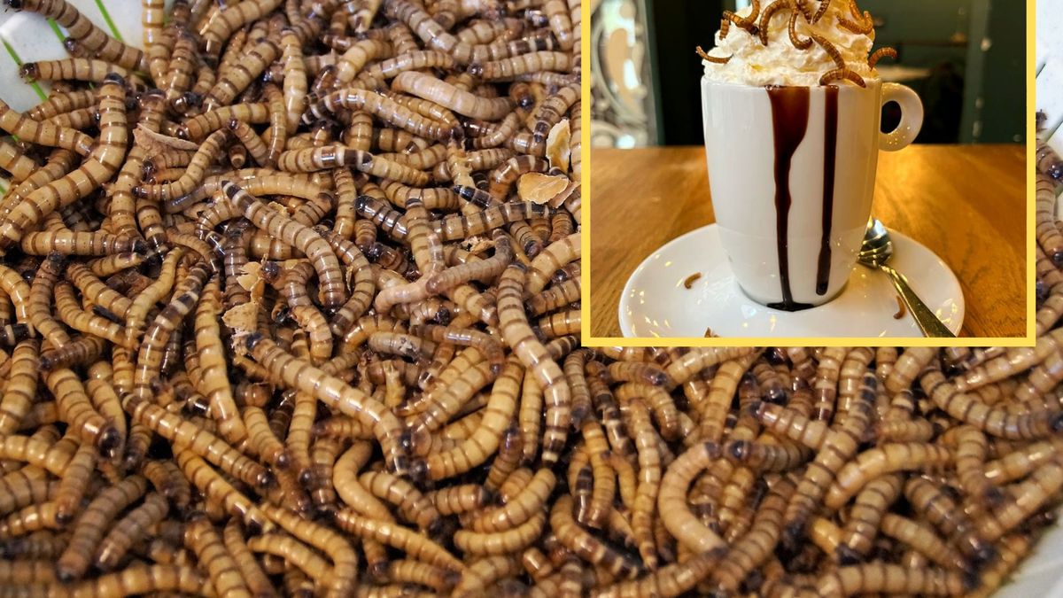 Na kawiarnię wylała się fala hejtu