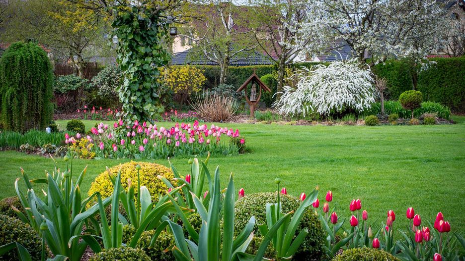 Tuje powoli zaczynają znikać z ogrodów
