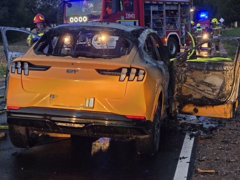 Elektryczny Mustang stanął w płomieniach. Auto spłonęło doszczęt