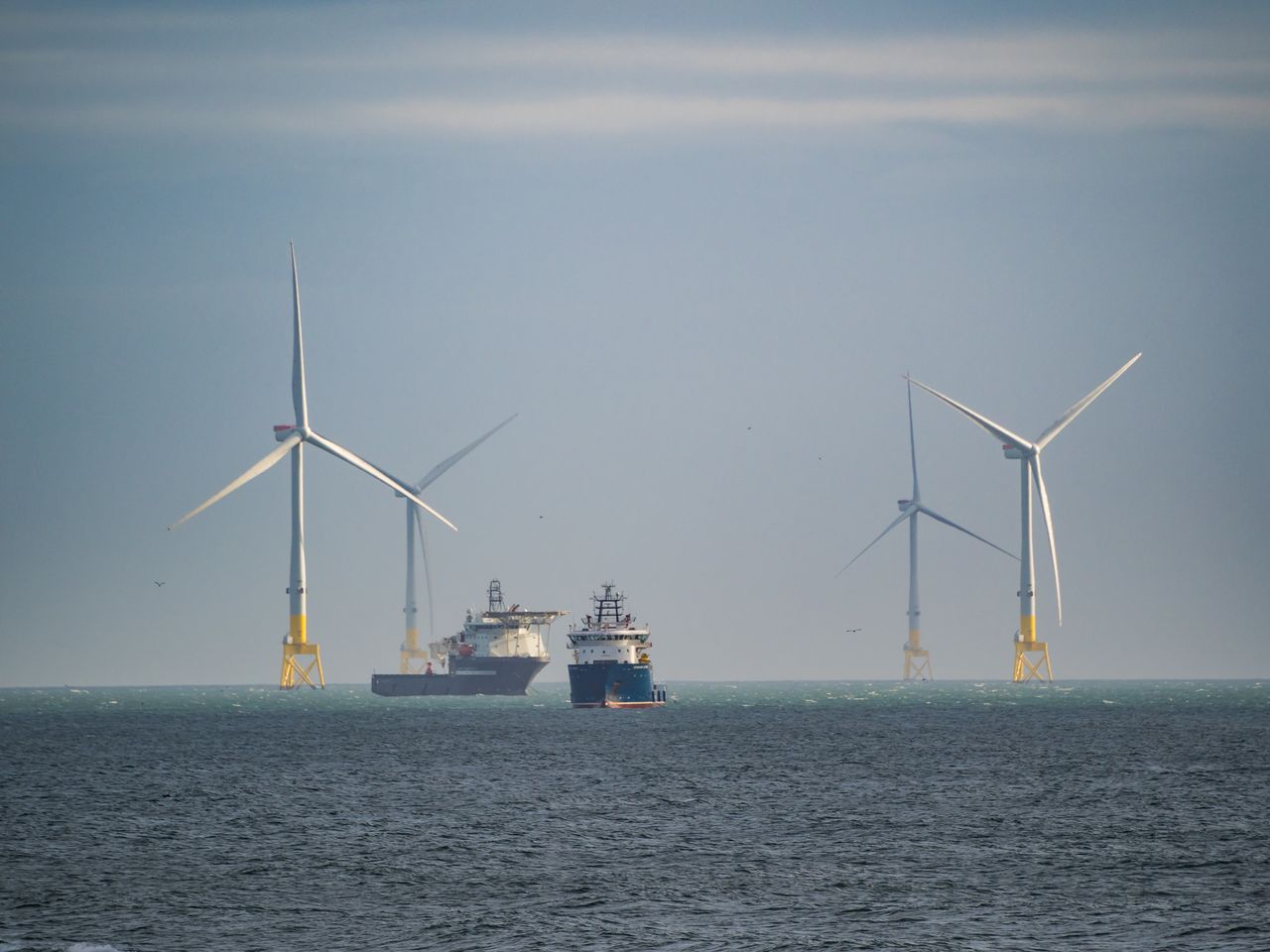Sweden halts Baltic Sea wind farms over security concerns