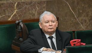 Kto zastąpi Kaczyńskiego? Polacy wskazali na faworyta