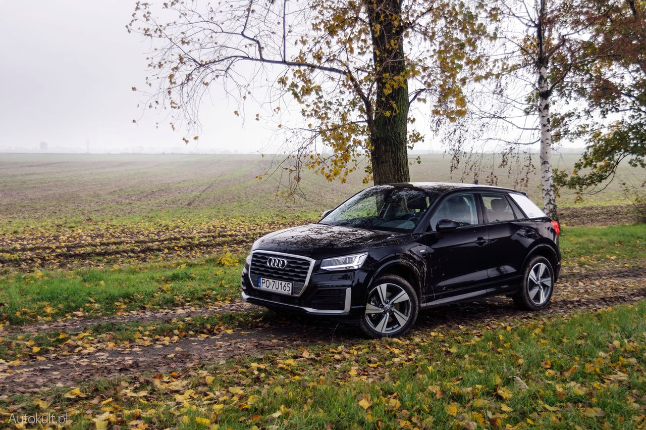 Nowe Audi Q2 1.4 TFSI S tronic (2016) - na współczesne potrzeby i zachcianki