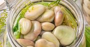 Kiszony bób? Brzmi dziwnie, ale smakuje świetnie. Nowy hit domowej spiżarni