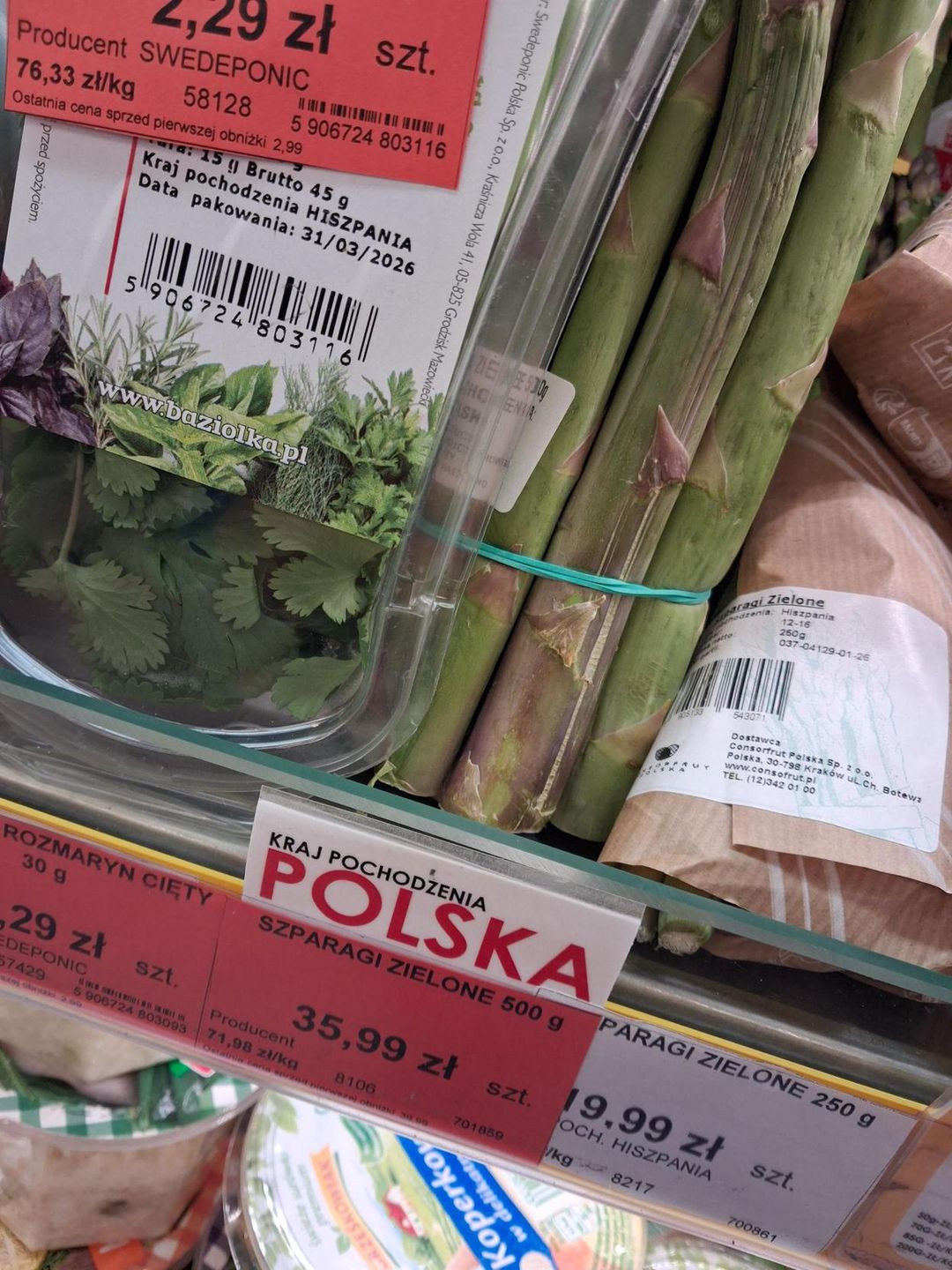 Pierwsze polskie szparagi