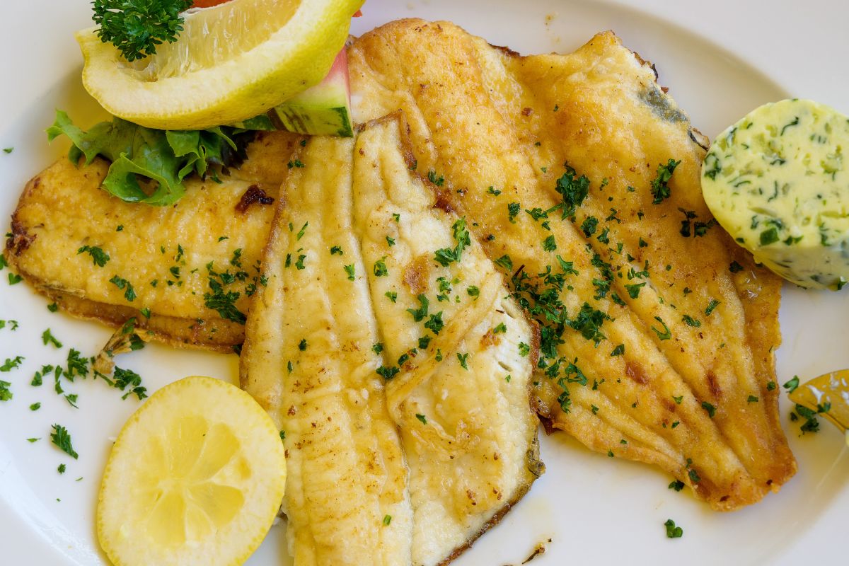 Gładzicę łatwo pomylić z flądrą