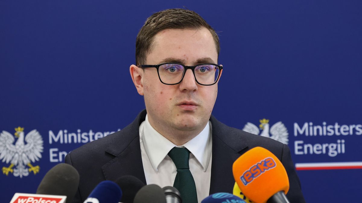 Minister energii Miłosz Motyka 
