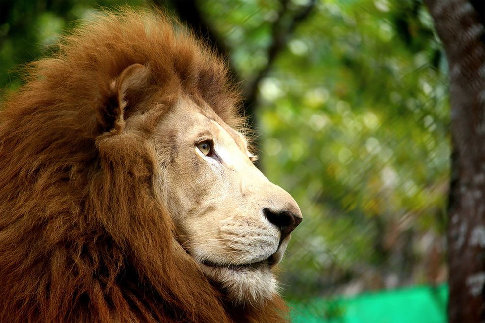 Młodzi finaliści konkursu „World Wildlife Day Photography Competition" i ich świetne zdjęcia przyrody 6