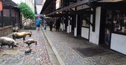 Malowniczy zakątek w polskim mieście. Niepowtarzalny charakter i klimat