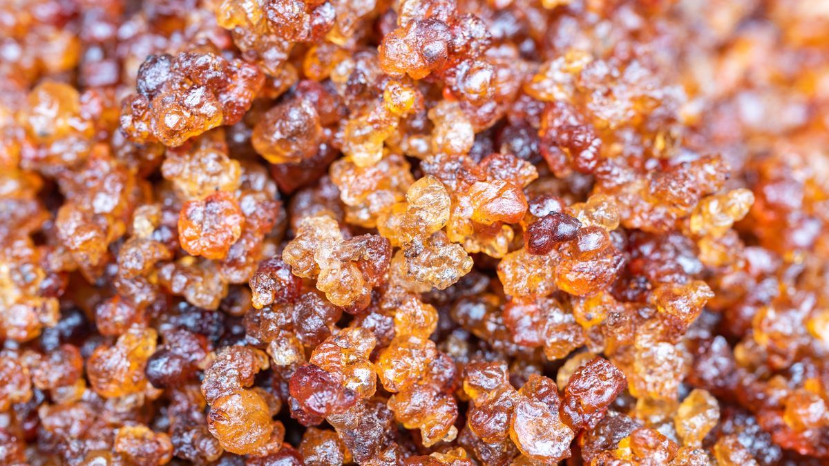 Guma brzoskwiniowa to naturalny kolagen