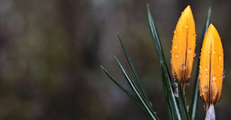 Pogoda. Początek tygodnia to kontynuacja wyżowej aury