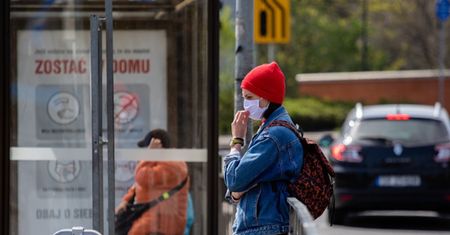 Ozdrowieńcy. Ile czasu są odporni na COVID-19? Wyniki badań z Harvardu