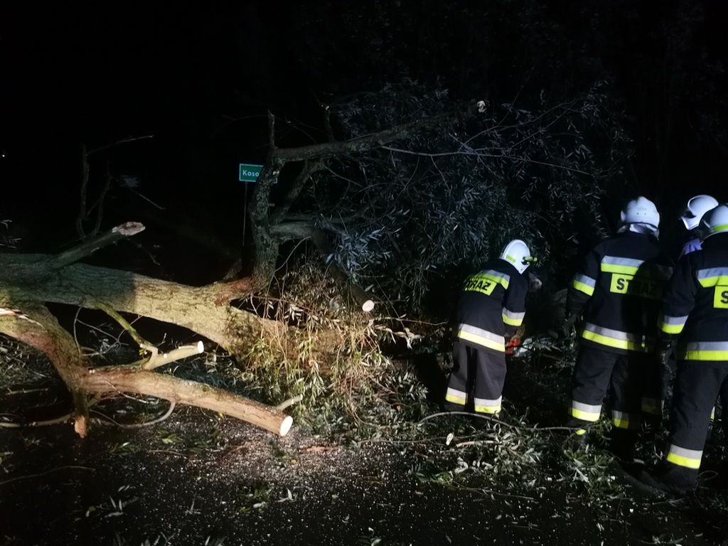 Nowe zdjęcia z interwencji strażaków w celu usunięcia skutków wichury w powiecie ostrowieckim