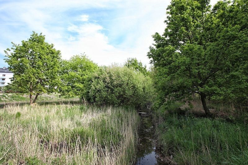 Susza. Wrocław łapie deszcz. Park Krzycki wykorzysta wody opadowe z terenów o powierzchni 68 hektarów