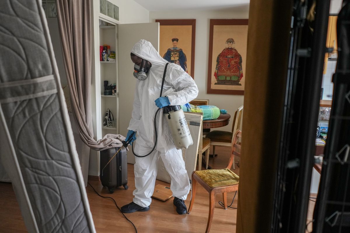 Pracownik Societe Mesnuisibles rozpyla środek owadobójczy w mieszkaniu w Paryżu. Zdjęcie poglądowe