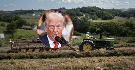 Koniec dobroczynności. Rolnicy w USA w strachu