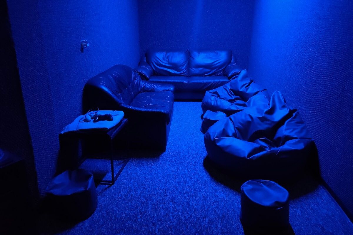 Gniazdo Żubra kino domowe