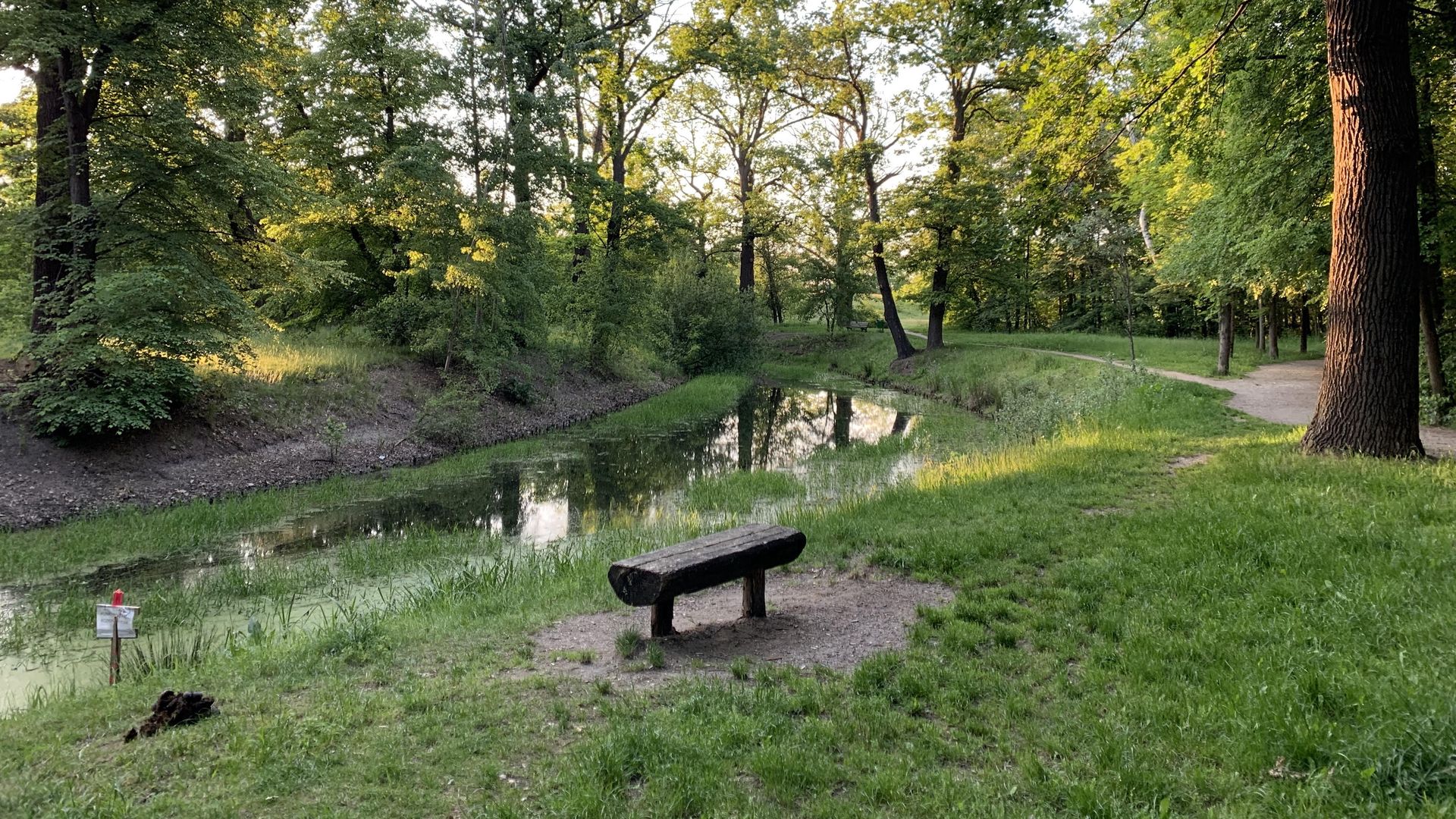 Wrocław. Pogoda. 21 lipca. Ciepło i bez deszczu. I tak przez kilka dni