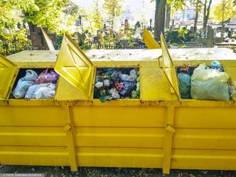 Pięć największych błędów przy segregacji śmieci. Oto czego nie robić