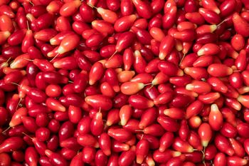 Prawdziwe superfood z Polski. W Europie płacą za niego krocie