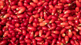 Prawdziwe superfood z Polski. W Europie płacą za niego krocie